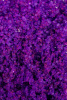 Соль мёртвого моря для ванны Shunga Oriental Crystals ""Экзотические фрукты"" 500гр
